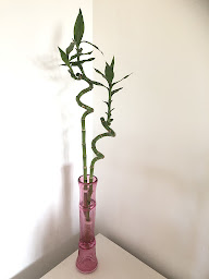 Photo n°10 de YOANN AGOSTINHO à Bruniquel ()