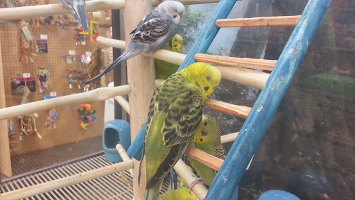 Pet Supply Store «Petco Animal Supplies», reviews and photos, 2824 Long Beach Rd, Oceanside, NY 11572, USA