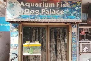 Aquarium Fish & Dog Palace image