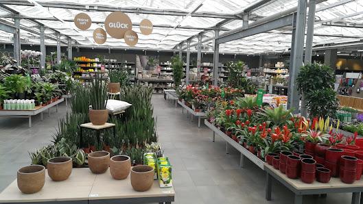 bellaflora Wiener Neustadt Prof.-Dr.-Stephan-Koren-Straße 16, 2700 Wiener Neustadt, Österreich