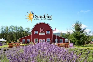 Sunshine Herb & Lavender Farm image