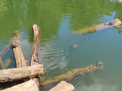 Nature Preserve «Fountain Rock Park & Nature Center», reviews and photos, 8511 Nature Center Place, Walkersville, MD 21793, USA