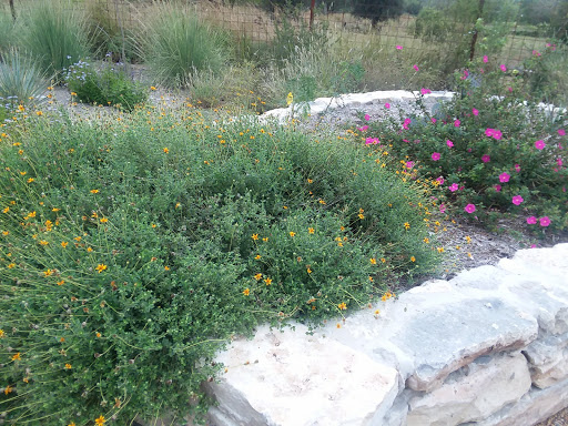 Park «Phil Hardberger Park», reviews and photos, 13203 Blanco Rd, San Antonio, TX 78216, USA