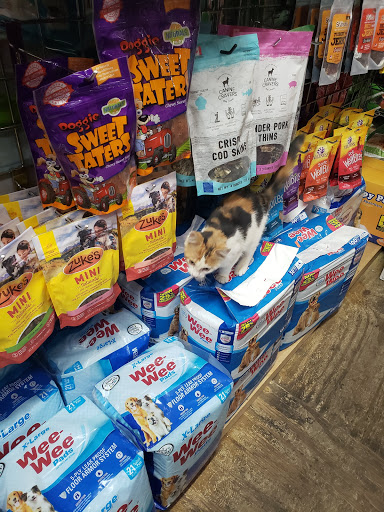 Pet Supply Store «Spoiled Brats», reviews and photos, 4 Bennett Ave, New York, NY 10033, USA