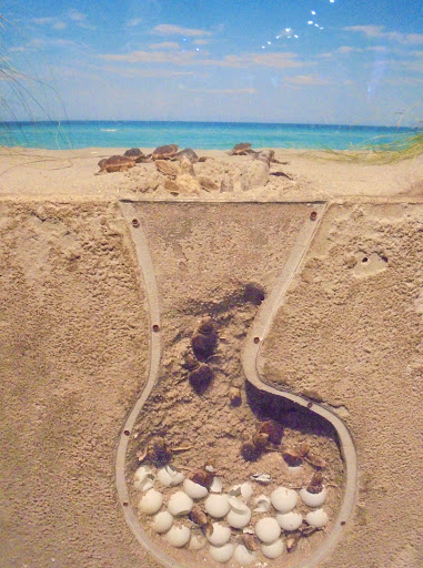 Aquarium «Newport Aquarium», reviews and photos, 1 Aquarium Way, Newport, KY 41071, USA