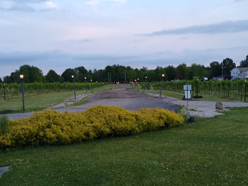 Winery «Mastropietro Winery», reviews and photos, 14558 Ellsworth Rd, Berlin Center, OH 44401, USA