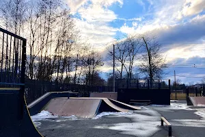 Lewisburg Skate Park image