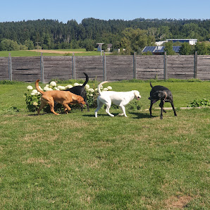 Jagd- und Hundezentrum Hermann Zeppelinstraße 7, 78588 Denkingen, Deutschland