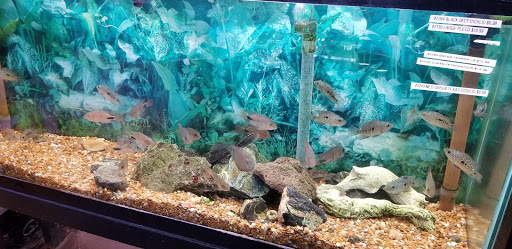 Tropical Fish Store «Two Turtles Pet Center», reviews and photos, 760 W Market St, Akron, OH 44303, USA