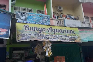 Bungo Aquarium image