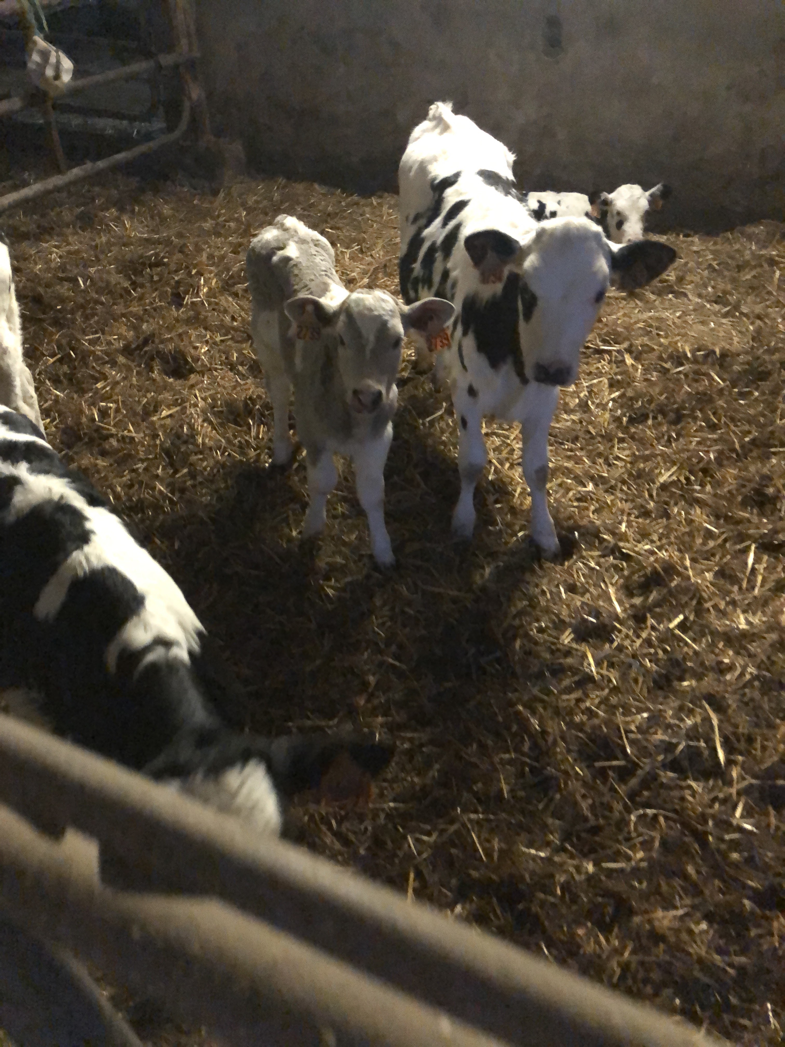 Photo n° 1 de l'avis de Clémence.o fait le 11/01/2022 à 21:36