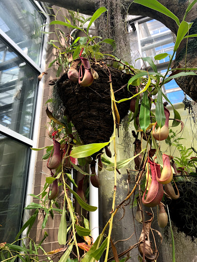 Gift Shop «Meijer Gardens Gift Shop», reviews and photos, 1000 E Beltline Ave NE, Grand Rapids, MI 49525, USA