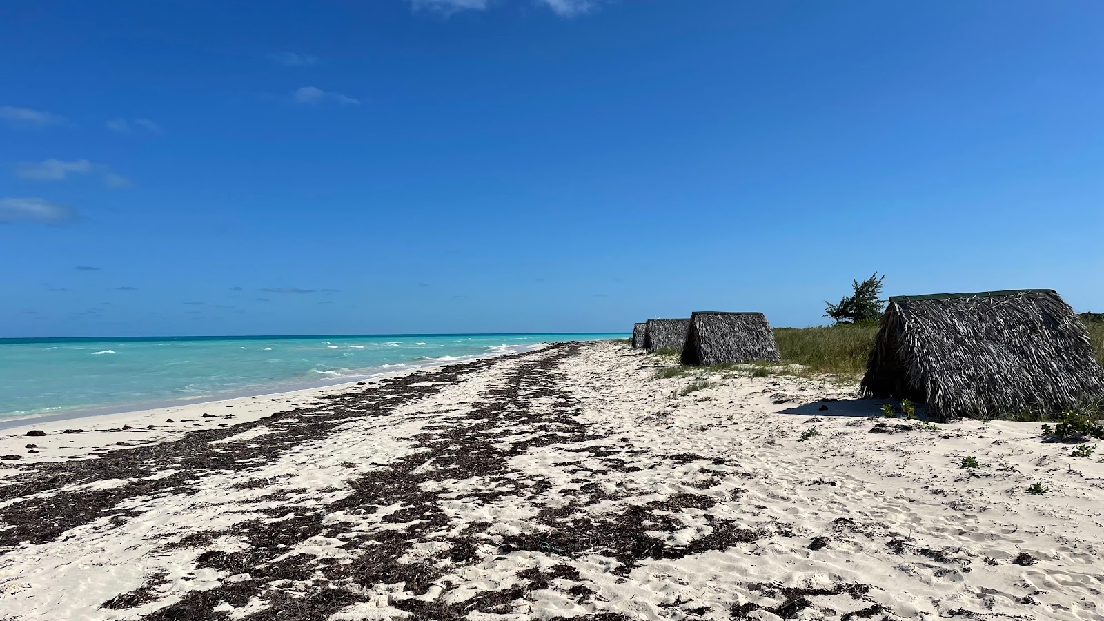 Fotografija Playa Las Gaviotas udobje območja