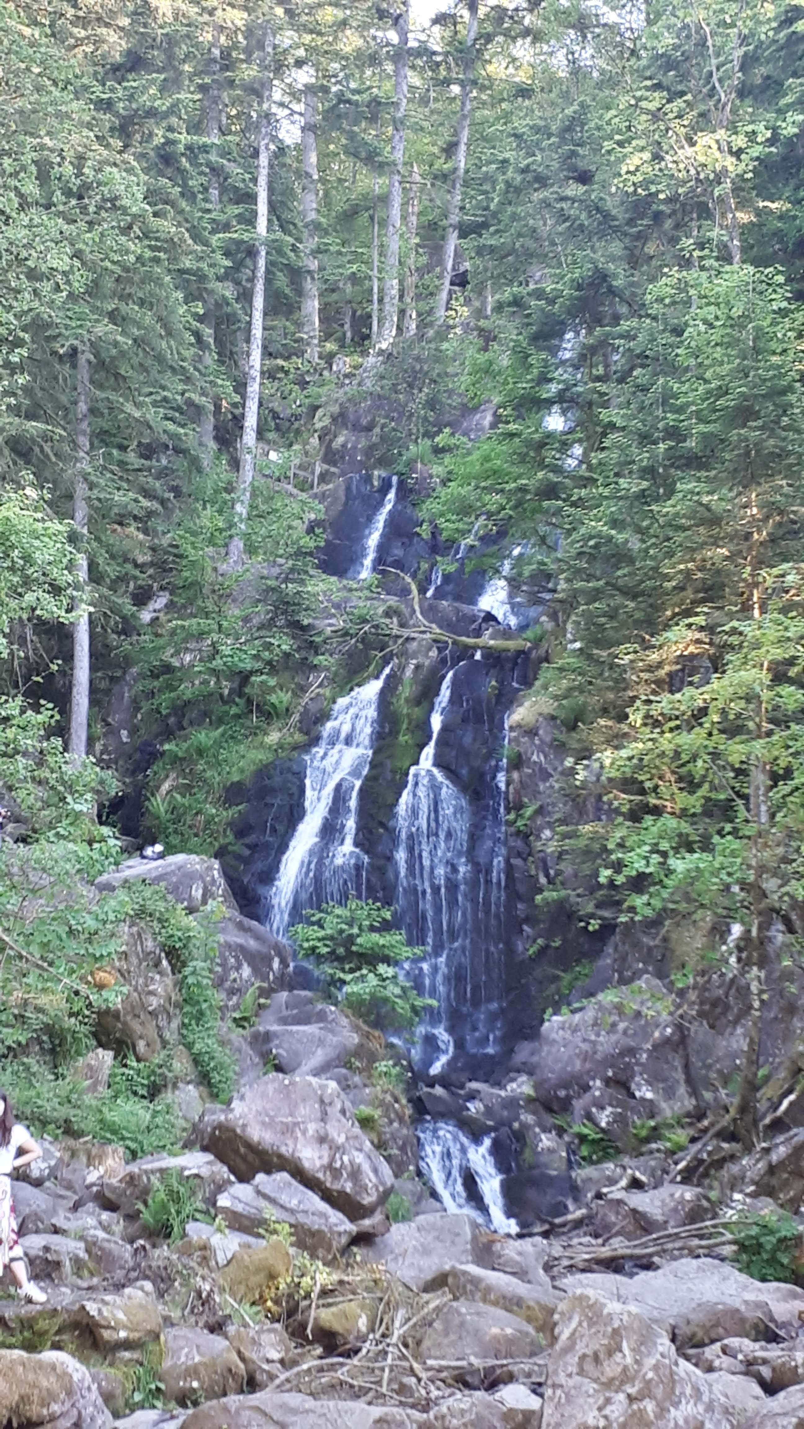 Photo n° 2 de l'avis de dominique.e fait le 14/06/2019 à 19:28