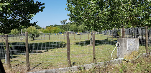 centro de Instrução Canina do Norte – Hotel Canino