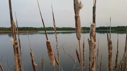 Park «Purgatory Creek Park Pavilion», reviews and photos, 13001 Technology Dr, Eden Prairie, MN 55344, USA