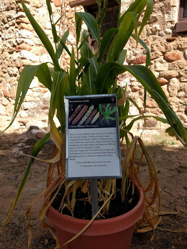 National Park «Tuzigoot National Monument», reviews and photos, 25 Tuzigoot Rd, Clarkdale, AZ 86324, USA