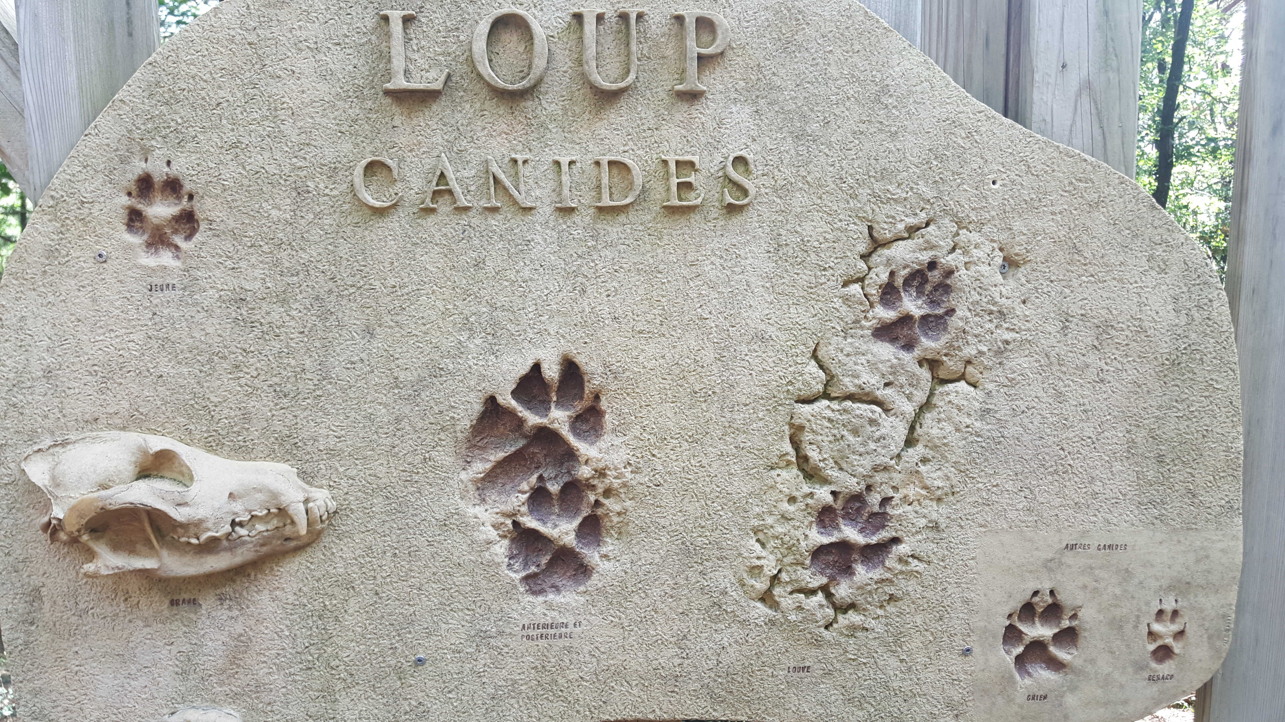 Photo n° 1 de l'avis de Vincent.O fait le 26/08/2018 à 18:44