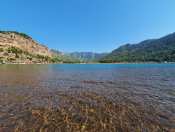 Kızkumu Plajı'in fotoğrafı çok temiz temizlik seviyesi ile
