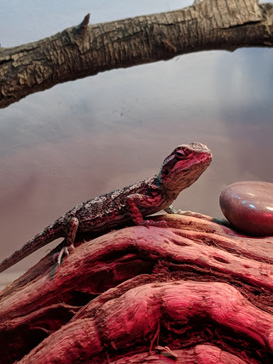 Pet Supply Store «Petco Animal Supplies», reviews and photos, 11639 S Pkwy Plaza Dr, South Jordan, UT 84095, USA