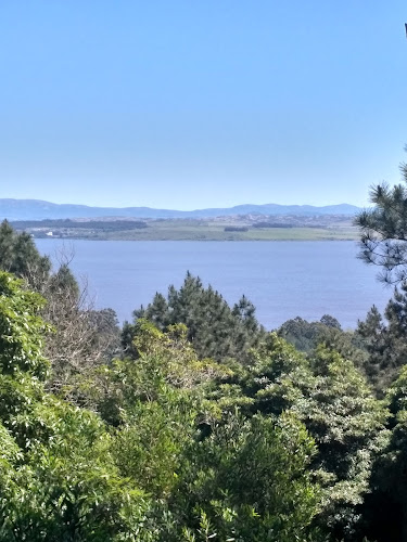 Horarios de Leñera La Floresta