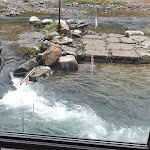 Photo n°1 de l'avis de Jennifer.o fait le 01/11/2022 à 17:23 sur le  Alla Villetta à Mori