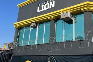 Lion Studio image