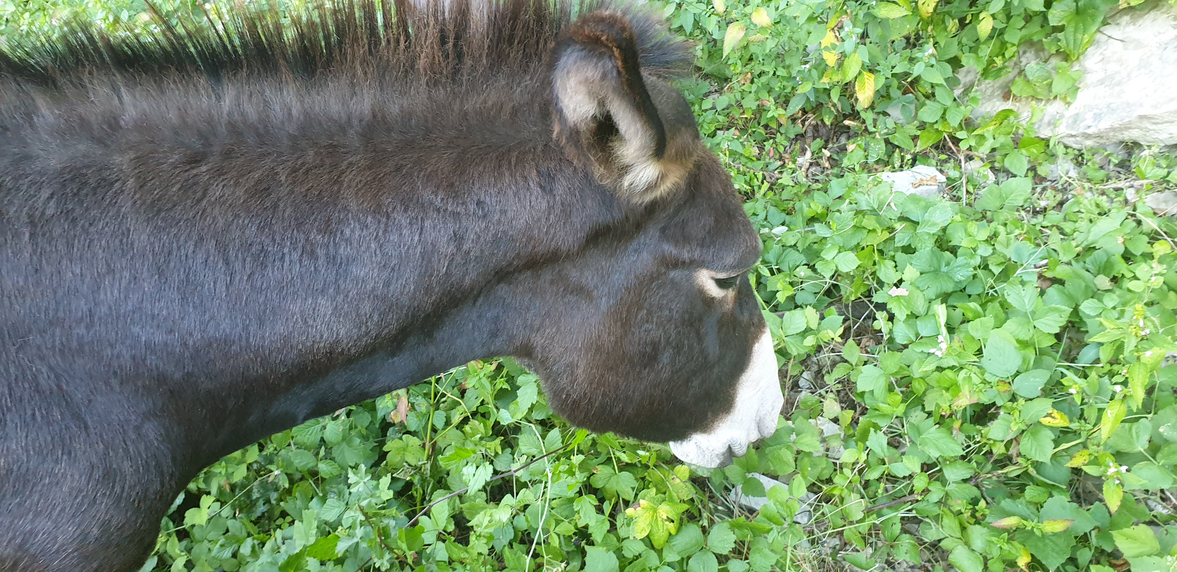 Photo n° 6 de l'avis de Jayce.l fait le 17/08/2019 à 19:27