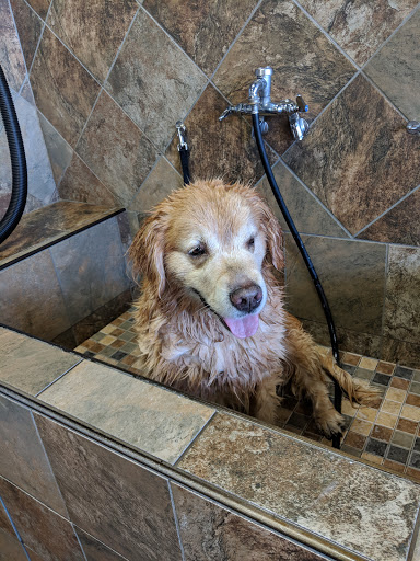 Pet Supply Store «Pet Valu», reviews and photos, 411 Valley Brook Ave, Lyndhurst, NJ 07071, USA