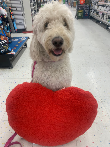 Pet Supply Store «Petco Animal Supplies», reviews and photos, 6137 Mid Rivers Mall Dr, St Charles, MO 63304, USA