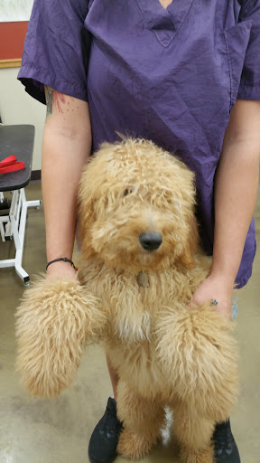 Pet Supply Store «Pet Supplies Plus», reviews and photos, 1237 Concord Pkwy N, Concord, NC 28025, USA