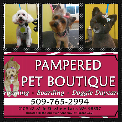 Pampered Pet Boutique