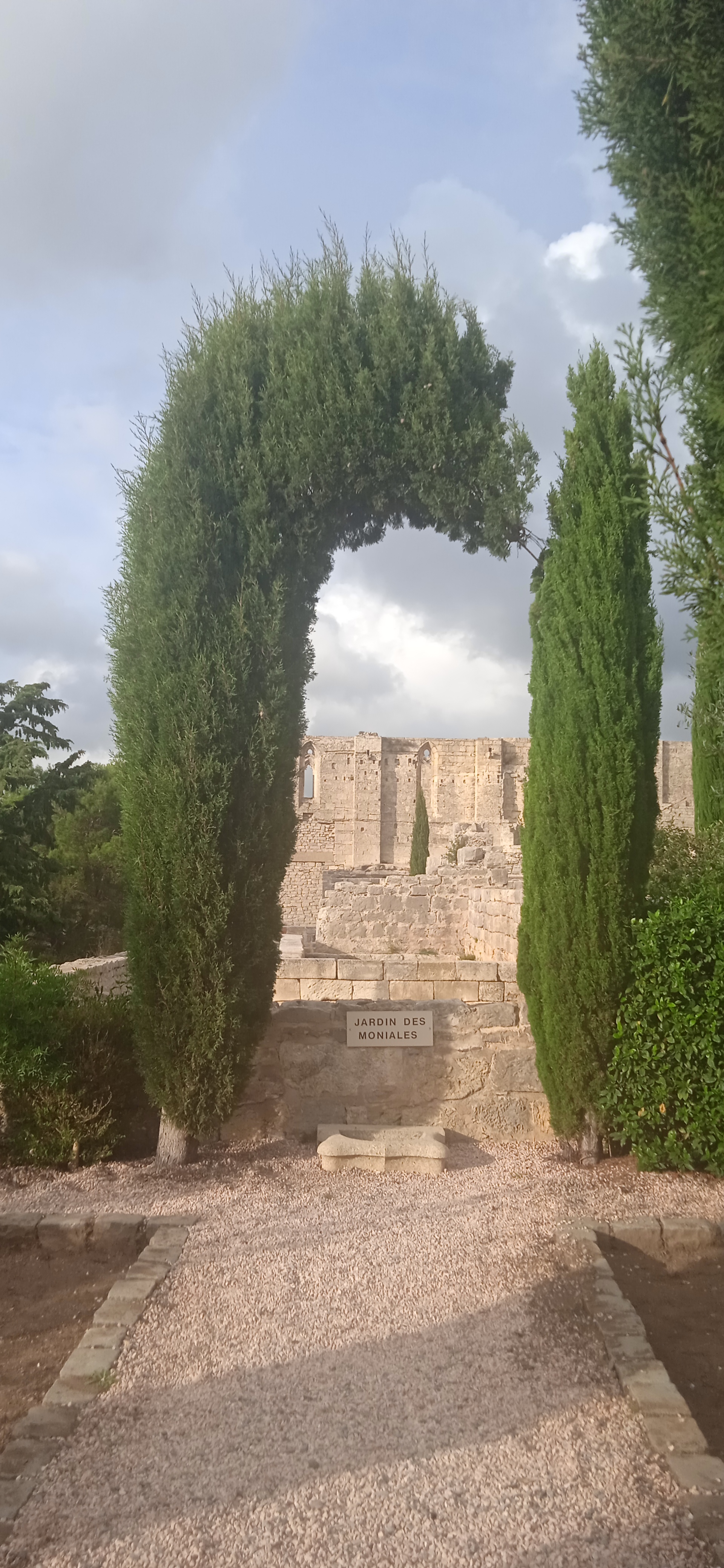 Photo n° 3 de l'avis de cebora.E fait le 30/10/2022 à 15:23