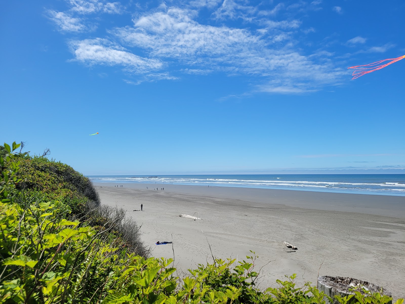 Kalaloch Beach的照片 带有明亮的沙子表面