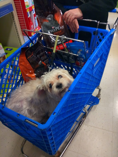 Pet Supply Store «PetSmart», reviews and photos, 825 Pilgrim Way, Green Bay, WI 54304, USA