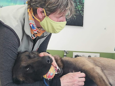 Bien Vivre Avec Son Chien Maurienne, éducation chiens et chiots. à Saint-Jean-de-Maurienne