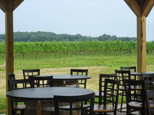 Vineyard «Blair Vineyards», reviews and photos, 99 Dietrich Valley Rd, Kutztown, PA 19530, USA