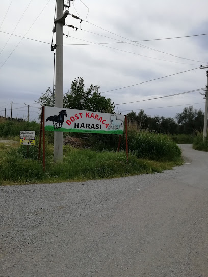 Ahmet Çavuş Süt Ve Besi Çiftliği
