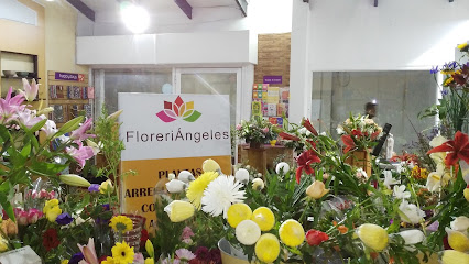 FLORERIA ANGELES