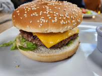 Hamburger du Restaurant turc Saveurs d'Urfa à Vaujours - n°6