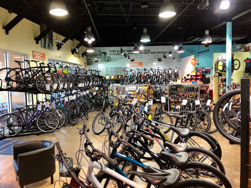 Bicycle Store «Outspokin Bicycles», reviews and photos, 2241 Gulf to Bay Blvd, Clearwater, FL 33765, USA