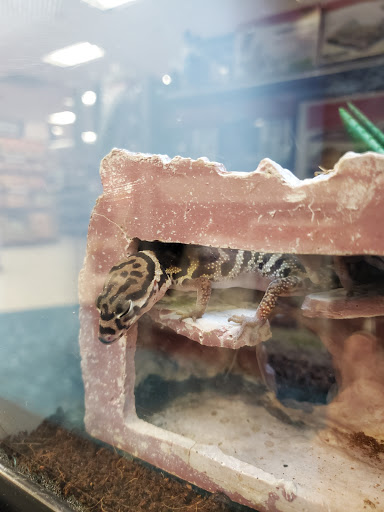 Pet Supply Store «Petco Animal Supplies», reviews and photos, 8111 W Broward Blvd, Plantation, FL 33324, USA