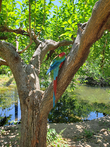 Zoo «Sedgwick County Zoo», reviews and photos, 5555 Zoo Boulevard, Wichita, KS 67212, USA