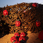 Photo n° 5 de l'avis de leyla.i fait le 18/08/2020 à 16:16 pour Parc de Wesserling - Écomusée Textile à Husseren-Wesserling