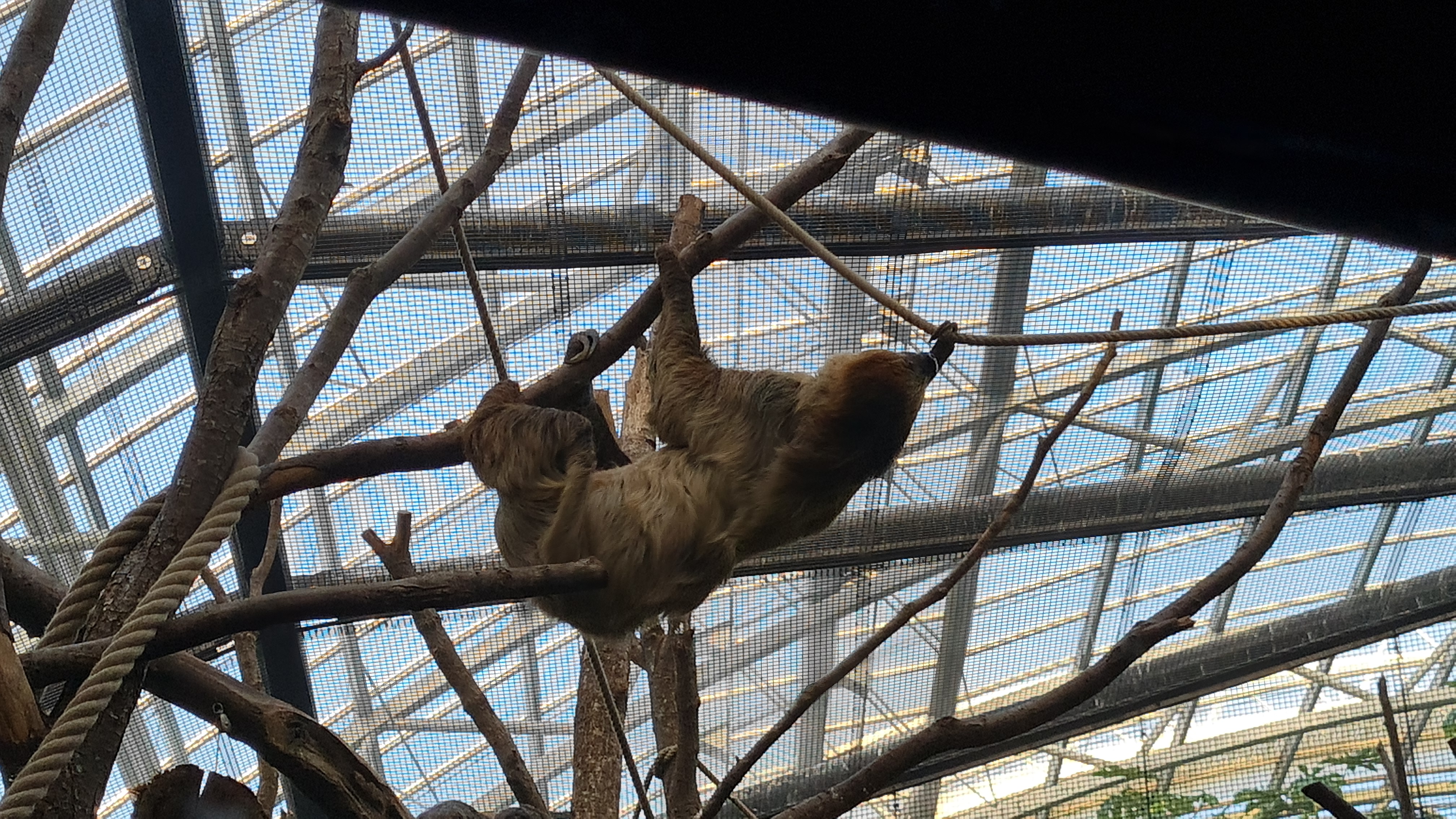 Photo n° 7 de l'avis de Thierry.u fait le 14/10/2023 à 18:57