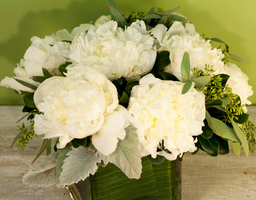 Florist «Feldis Florists Inc», reviews and photos, 2170 Sunrise Hwy, Merrick, NY 11566, USA