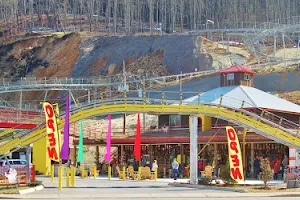 The Goat Coaster at Goats on the Roof image