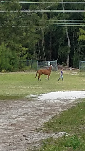 Park «Wolf Lake Park», reviews and photos, 5400 SW 76th Ave, Davie, FL 33314, USA