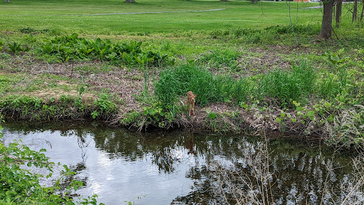 Golf Course «Flanders Valley Golf Course», reviews and photos, 81 Pleasant Hill Rd, Flanders, NJ 07836, USA