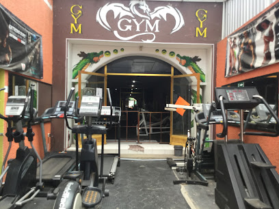 DRAGON GYM PAPALOTLA